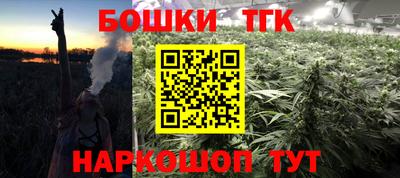 шишки Будённовск