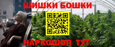 шишки Будённовск