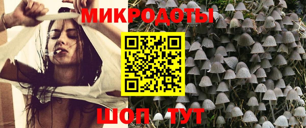 Галлюциногенные грибы прущие грибы Йошкар-Ола